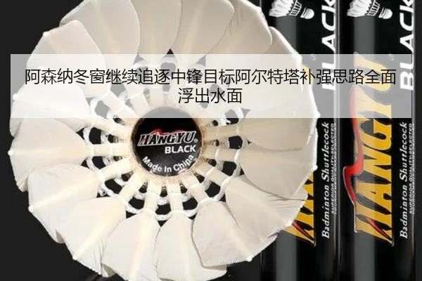阿森纳冬窗继续追逐中锋目标阿尔特塔补强思路全面浮出水面